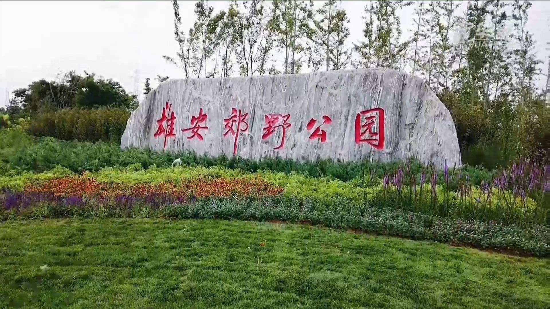 拉斯维加斯网站电气雄安郊外公园建设工程及配套设施项目